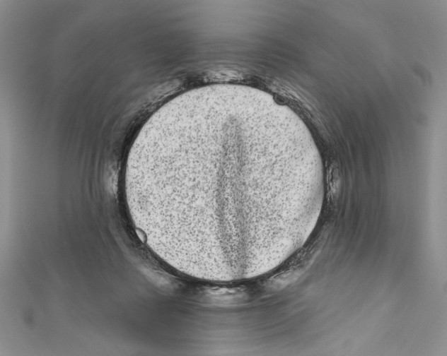 X0000110960315200907171655