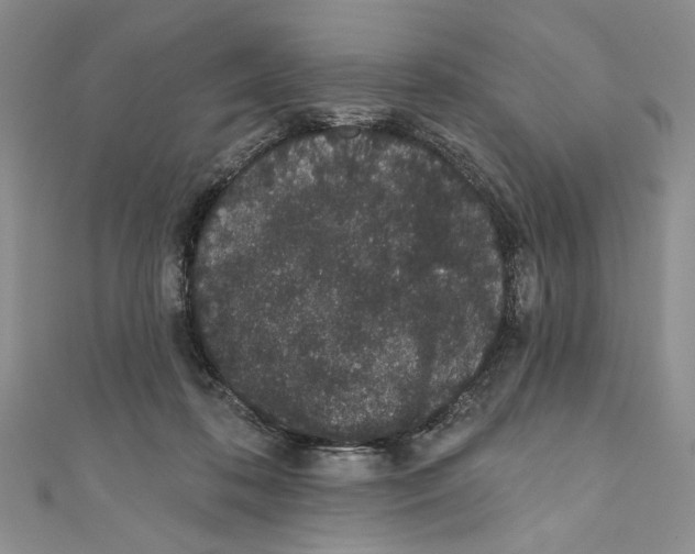 X0000110960316200907171655