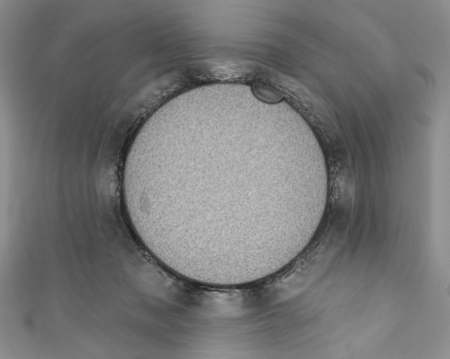X0000110960317200907171655