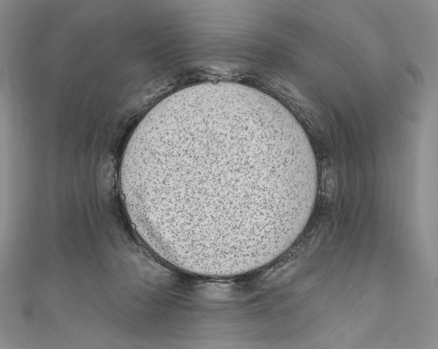 X0000110960318200907171655