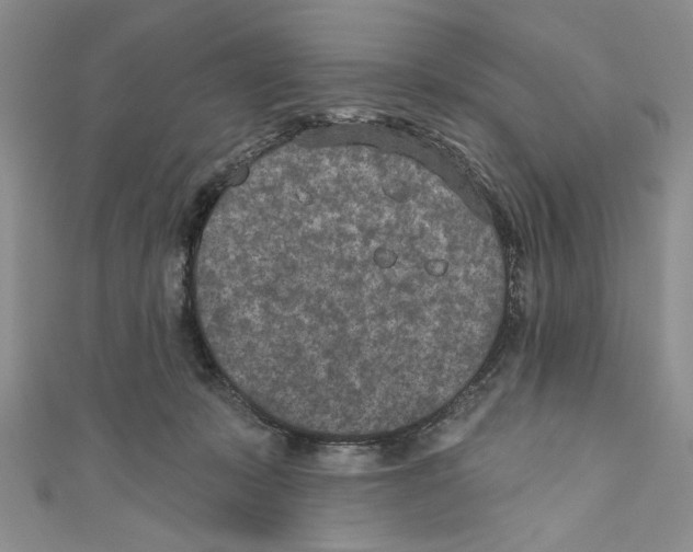 X0000110960319200907171655