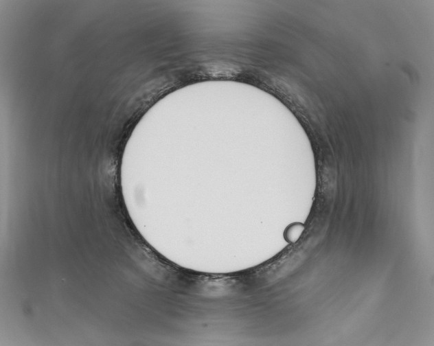 X0000110960321200907171655