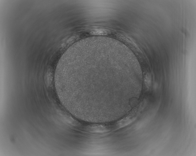 X0000110960322200907171655