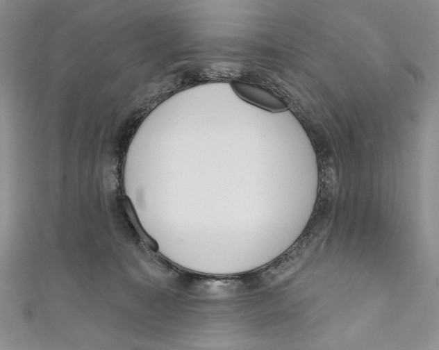 X0000110960323200907171654