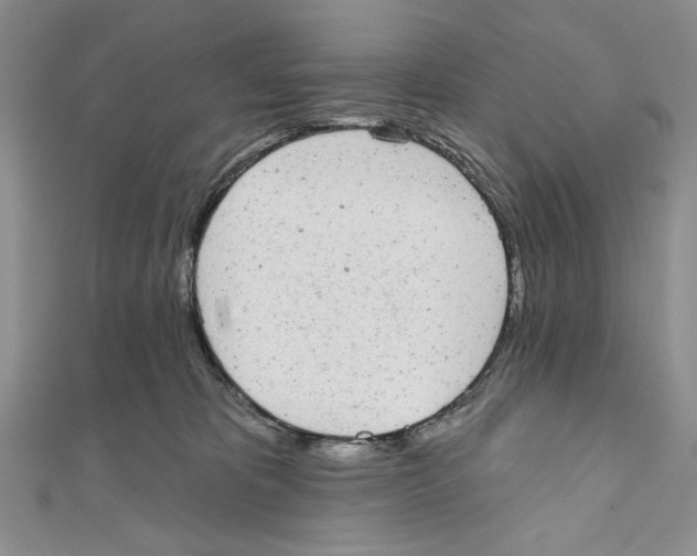 X0000110960325200907171654