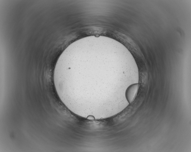 X0000110960326200907171654