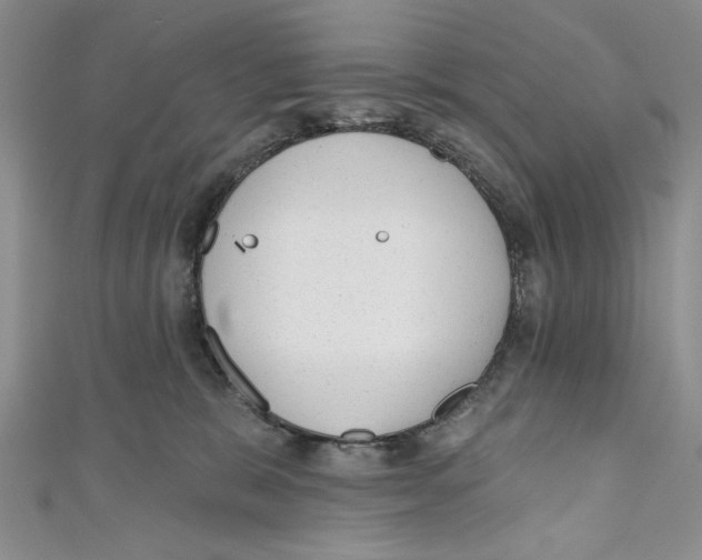 X0000110960327200907171654