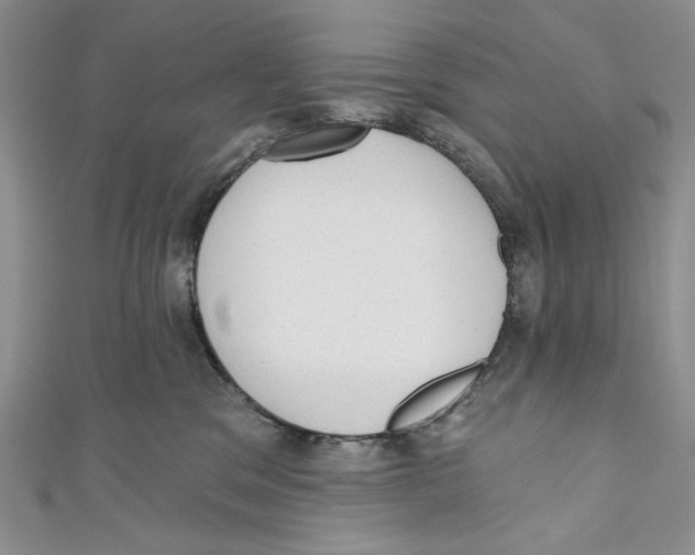 X0000110960329200907171654