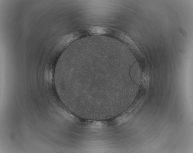 X0000110960330200907171654