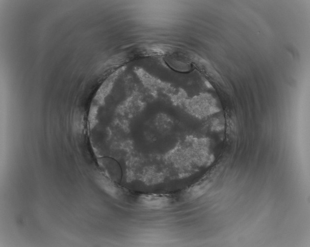 X0000110960331200907171654