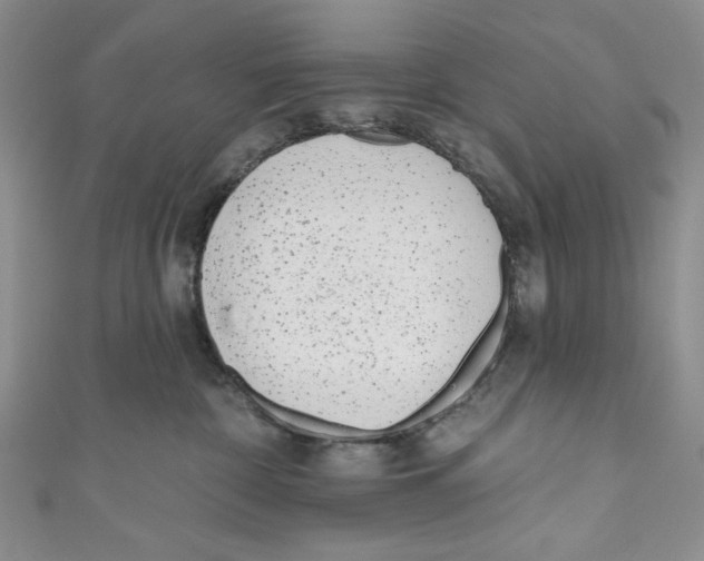 X0000110960332200907171654