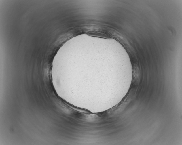 X0000110960333200907171654