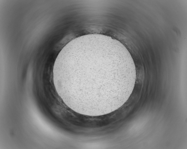 X0000110960334200907171654