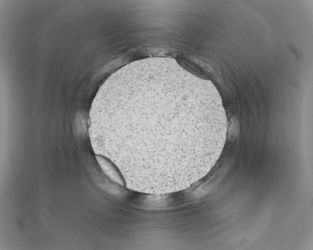 X0000110960335200907171654