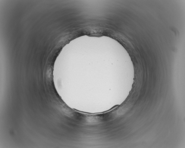 X0000110960336200907171654