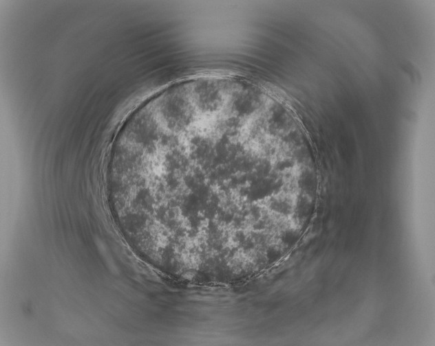 X0000110960337200907171654