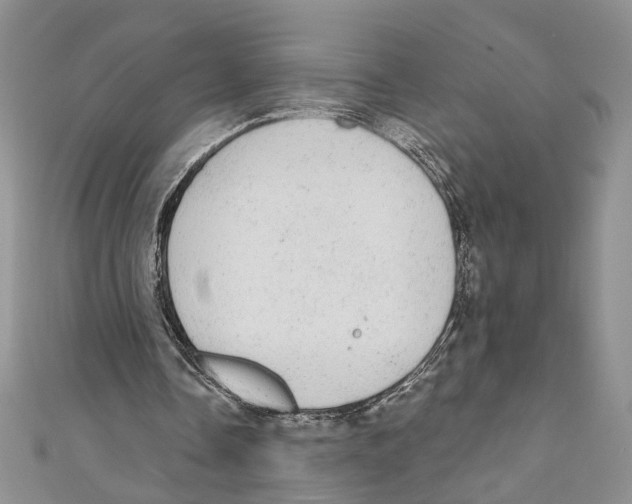 X0000110960338200907171654
