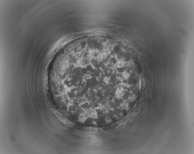 X0000110960339200907171654