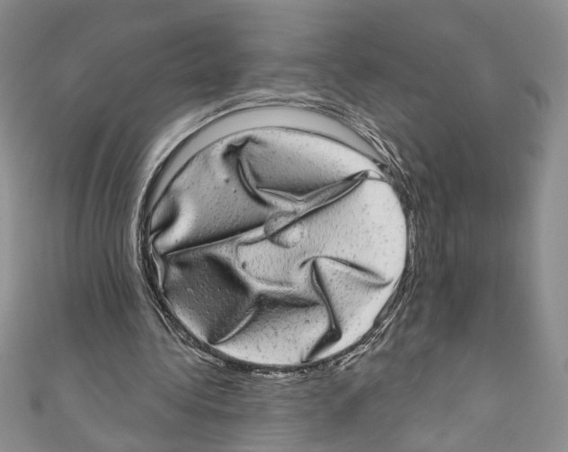 X0000110960340200907171654