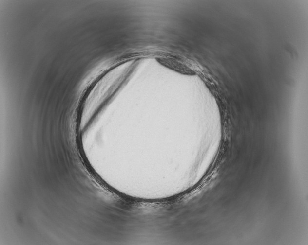X0000110960341200907171654