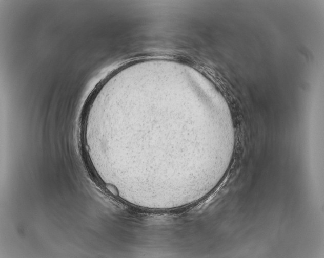 X0000110960342200907171654
