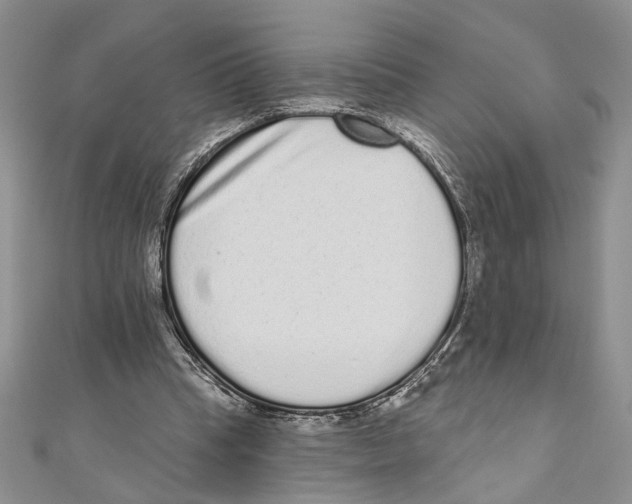 X0000110960345200907171654