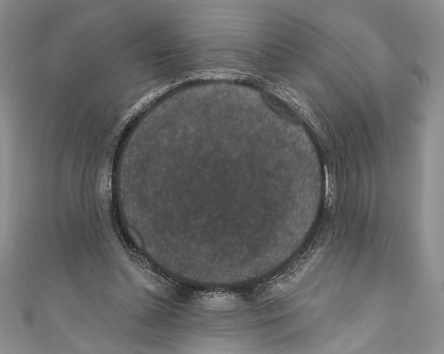 X0000110960348200907171654