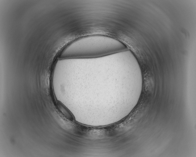 X0000110960350200907171654