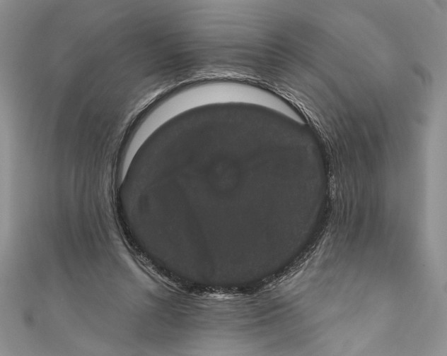 X0000110960352200907171654