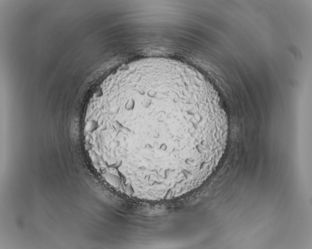 X0000110960353200907171654