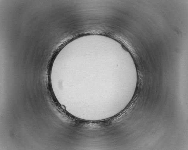 X0000110960354200907171654