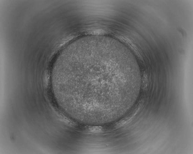 X0000110960355200907171654