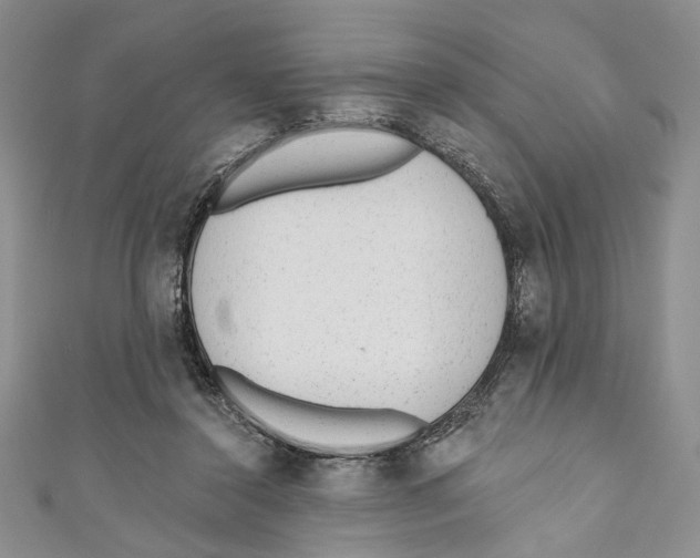 X0000110960356200907171654