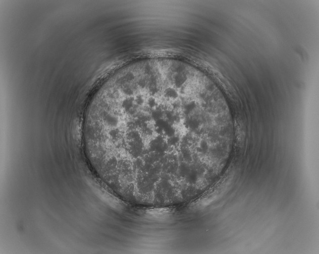 X0000110960357200907171654