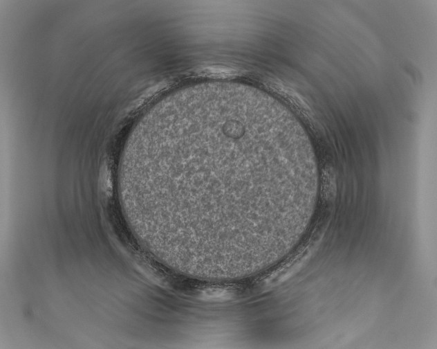 X0000110960358200907171654