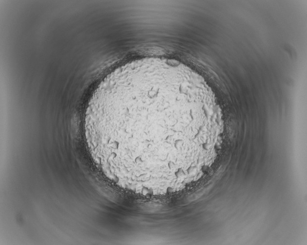 X0000110960359200907171654
