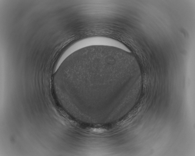 X0000110960360200907171654