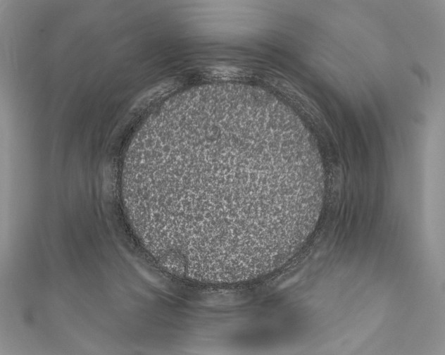 X0000110960361200907171654