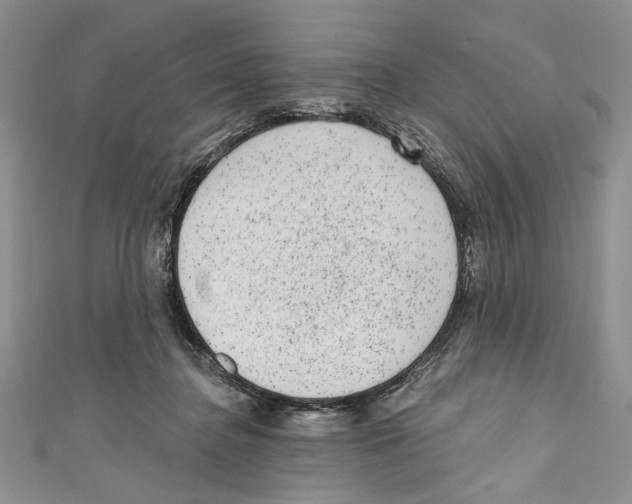 X0000110960364200907171654