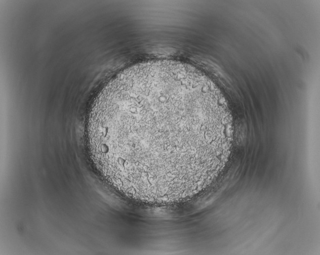 X0000110960365200907171654