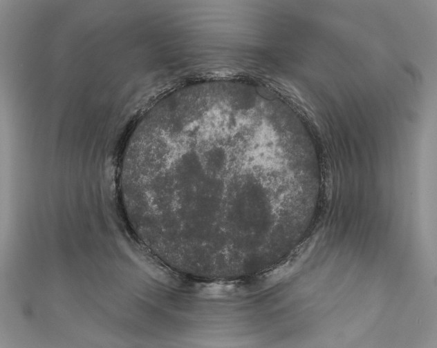 X0000110960366200907171654
