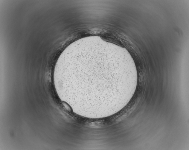 X0000110960368200907171654