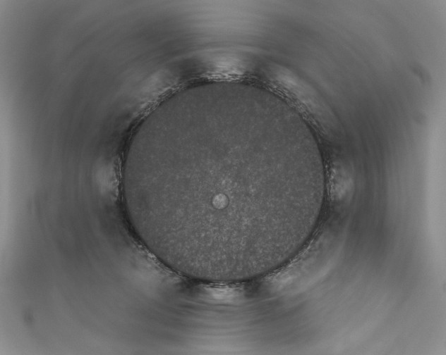 X0000110960370200907171654
