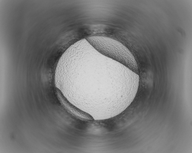 X0000110960372200907171654