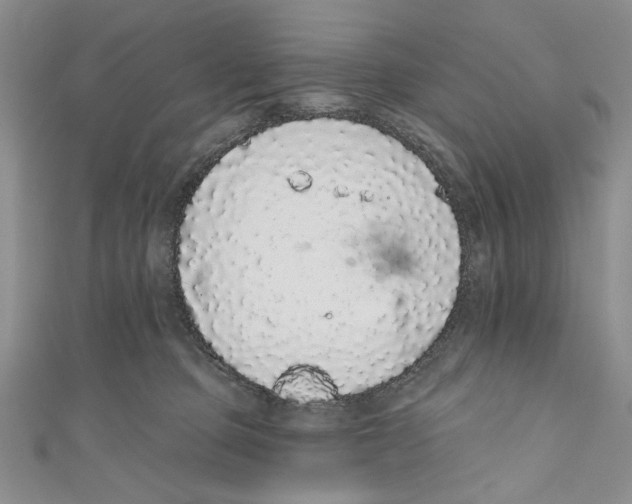 X0000110960373200907171654