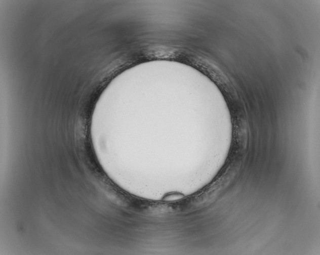 X0000110960374200907171654