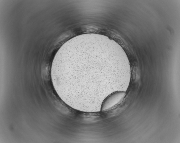 X0000110960378200907171654