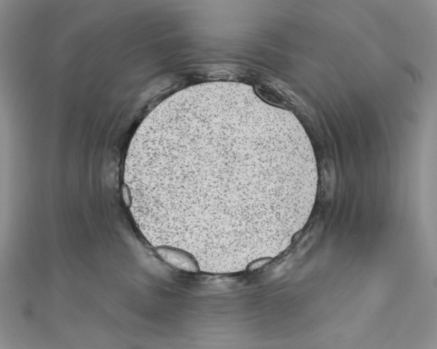 X0000110960379200907171654