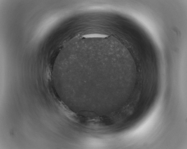 X0000110960382200907171654