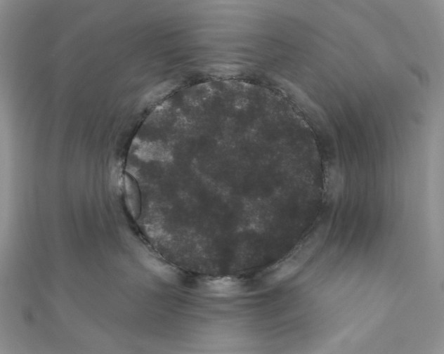 X0000110960383200907171654
